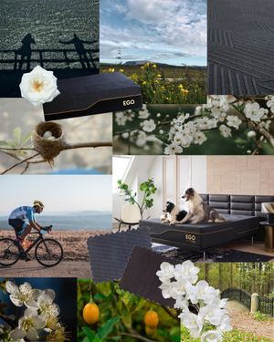 Image post by @egohomeofficial on Instagram