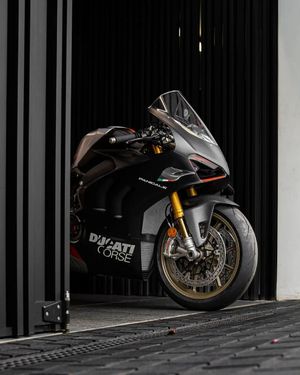 Image post by @panigalers on Instagram