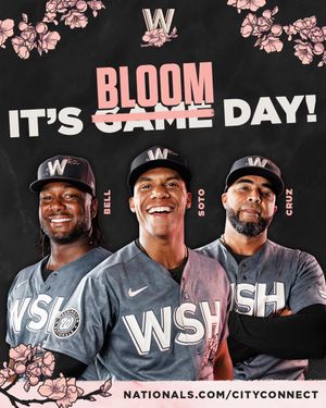 Image post by @Nationals on Twitter/X