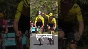 Video post by @veloncc on YouTube