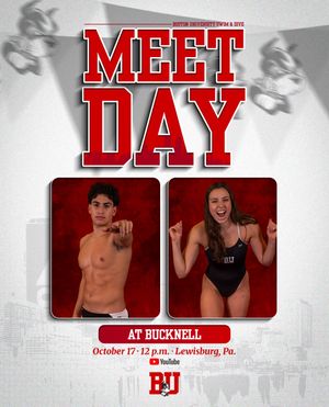 Image post by @terrierswimdive on Instagram