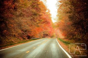 Image post by @aaronjayphotography on Instagram