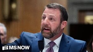 Video post by @msnbc on YouTube