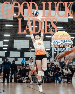 Image post by @pulse_athletics_vbc on Instagram