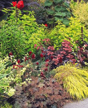 Image post by @ahs_gardening on Instagram