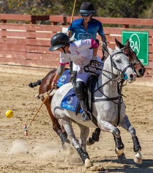 Image post by @uspoloassociation on Instagram