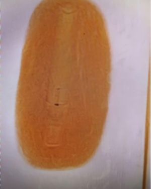 Image post by @tsa on Instagram