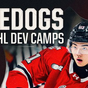 Image post by @ohlicedogs on Instagram
