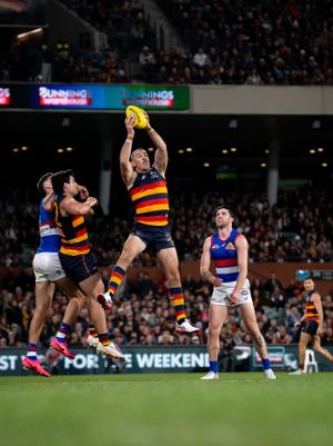 Image post by @adelaide_fc on Instagram