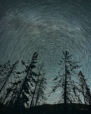 Image post by @shauns_shots on Instagram