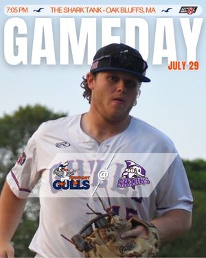 Image post by @newportgulls on Instagram