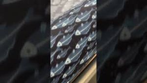 Video post by @ripstopbytheroll on YouTube