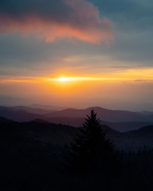 Image post by @tylerleaman on Instagram