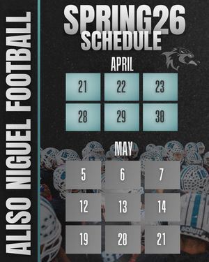 Image post by @aliso_football on Instagram