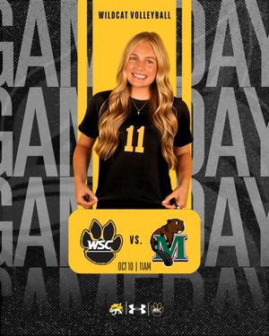 Text post by @WSCWildcatVB on Twitter/X