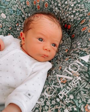 Image post by @sophiatienstra on Instagram