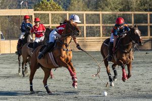 Image post by @uspoloassociation on Instagram