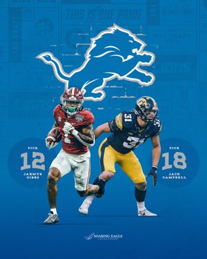 Image post by @Lions on Twitter