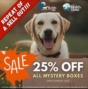 Image post by @shop_buddybythesea on Instagram