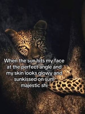 Image post by @zonky._ on Instagram