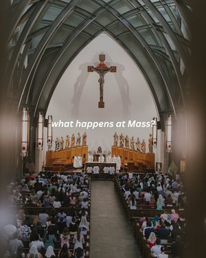 Image post by @focuscatholic on Instagram