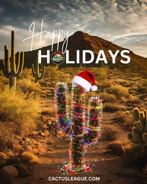 Image post by @thecactusleague on Instagram