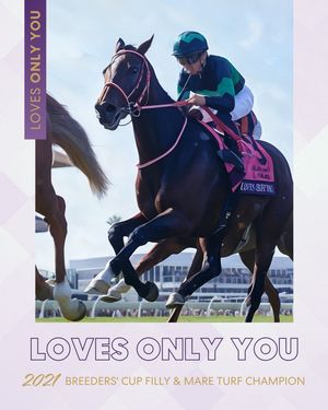 Image post by @breederscup on Instagram
