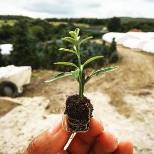 Image post by @alpertongfidanligi on Instagram