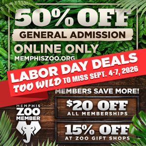 Text post by @MemphisZoo on Twitter/X