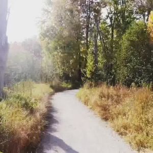 Video post by @fernresort on Facebook