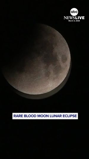 Video post by @abcnewslive on TikTok