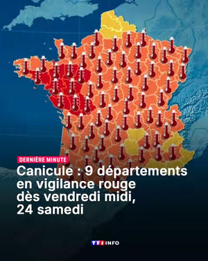 Image post by @tf1info on TikTok