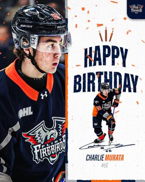 Image post by @flintfirebirds on Instagram