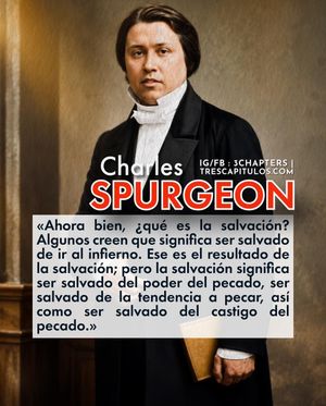 Image post by @3chapters on Instagram