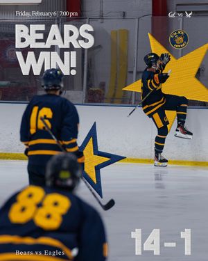 Image post by @calicehockey on Instagram