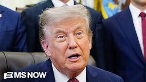 Video post by @msnbc on YouTube