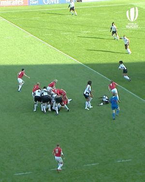 Image post by @rugbyworldcup on Instagram