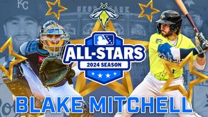Image post by @ColaFireflies on Twitter