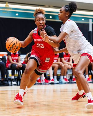 Image post by @thethronehoops on Instagram