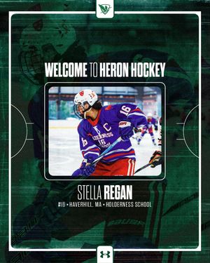 Image post by @heronhockey on Instagram