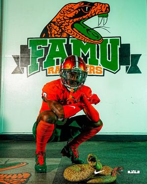 Image post by @famufb on Instagram