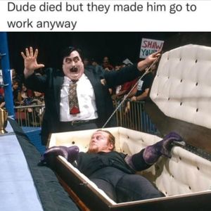 Image post by @themachoverse on Instagram