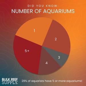 Image post by @bulkreefsupply on Instagram