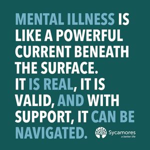 Image post by @SycamoresABetterLife on Facebook