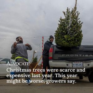 Image post by @theadvocatebr on Instagram