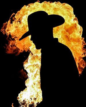 Image post by @pbr on Instagram