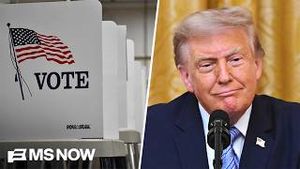 Video post by @msnbc on YouTube