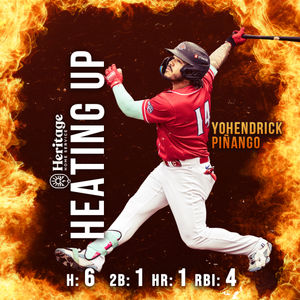 Image post by @fishercats on Instagram