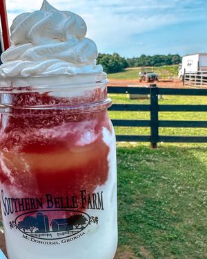 Image post by @southernbellefarm on Instagram