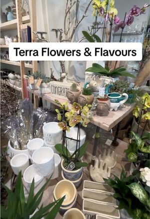 Video post by @verojoncas on TikTok